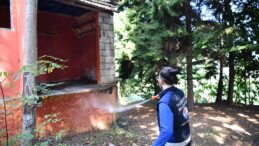 TARIM ZARARLISINA KARŞI YOĞUN İLAÇLAMA