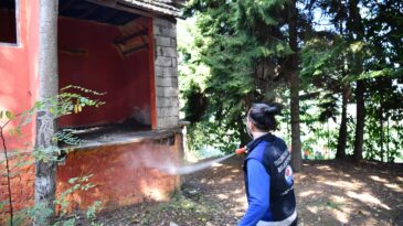 TARIM ZARARLISINA KARŞI YOĞUN İLAÇLAMA